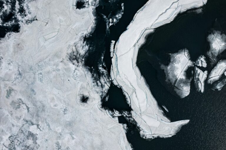 Carbon Removed: How XPRIZE Winners Aim To Reshape The Climate