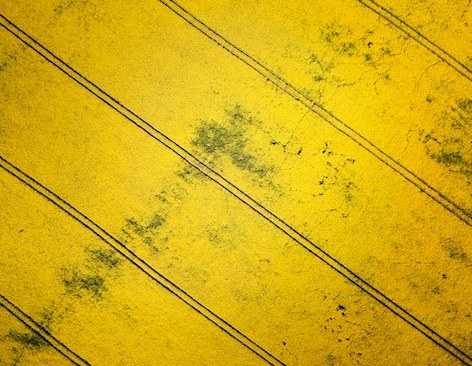 Abstract image of wood panels